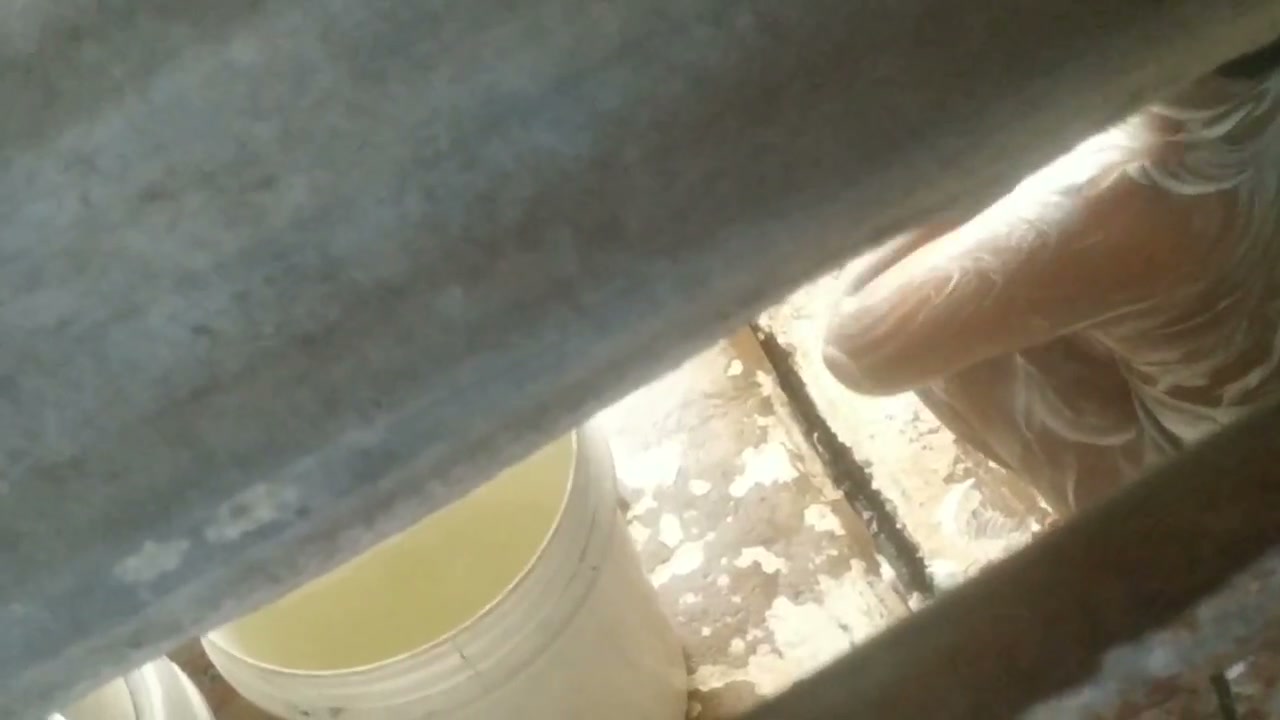 Frame 5