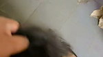 Chubby Indian Tanker Wife Showing For Lover 2 3