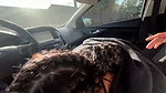 Horny Babe Gives Wet Blowjob Then Gets Fucked Rough In Car