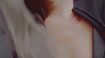 TINA DUTTA BOLD BOMBSHELL SEXY OPEN SHIRT CLEAVAGE EXPOSE TEASE VIDEOS 2 1