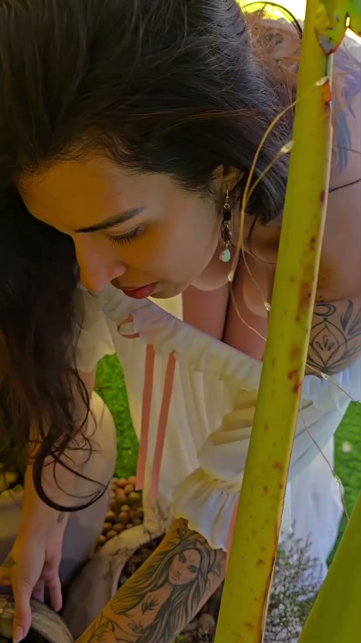 Frame 1