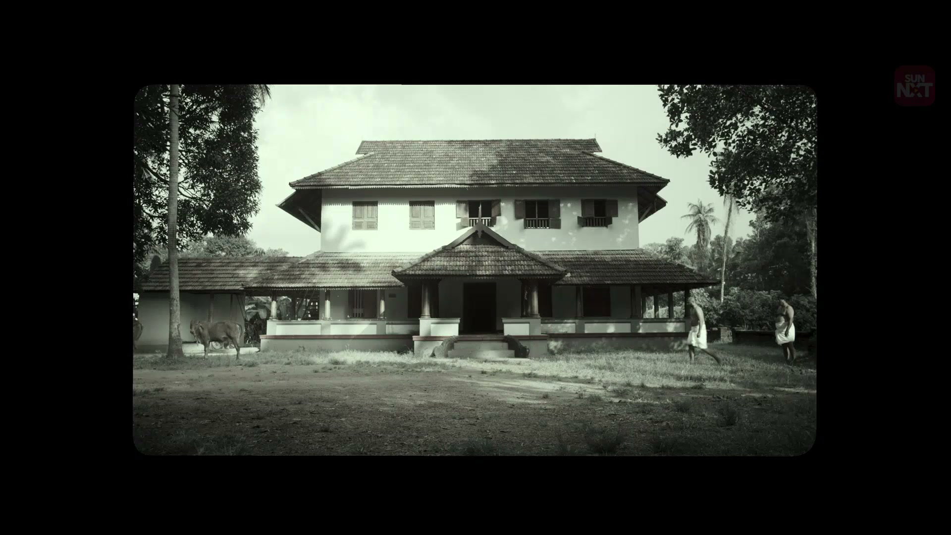Frame 6