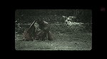 Unk Actress Hot Navel,Boobs,Saree Seduction Scenes Compilation-Trikala Script of God