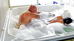 COMPLETE 4K MOVIE HOT FOAMY SEX WITH ADAMANDEVE AND LUPO