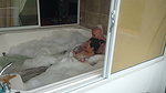 Complete Movie Sex in Jaccuzi with Garabas and Olpr