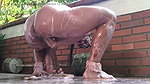 Creamcake Ride Dildo Squirt a lot Honey!!