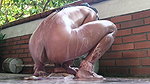 Creamcake Ride Dildo Squirt a lot Honey!!