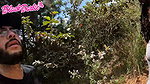 Delicious threesome with my friends outdoors
