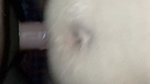 cute bhabhir anal choda