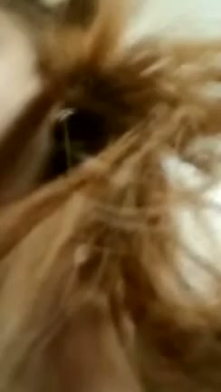 Frame 1