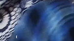 Ti live video collection 2026- (154)