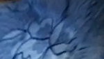 Ti live video collection 2026- (236)