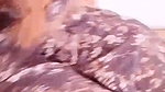 Ti live video collection 2026- (284)