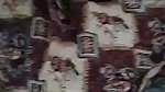 Ti live video collection 2026- (294)