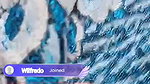 Ti live video collection 2026- (299)