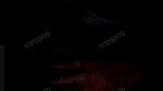 Ti live video collection 2026- (328)
