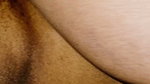 Fuck Me Hard Dear Stepmom and Stepson Cowgirl Position