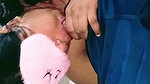 Hottest Cum Swallow And Cum in Mouth horny neha bhabhi- She Knows How To Sucking Dick nonstop properly