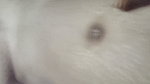 Indian desi bhabhi fuck in Dewar Indian hot xxx video