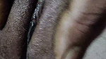 Indian desi bhabhi hairy pussy fingering for husband her tight pussy