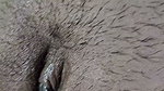 Indian desi bhabhi hairy pussy fingering for husband her tight pussy