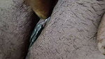 Indian desi bhabhi hairy pussy fingering for husband her tight pussy