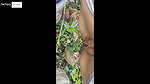 Compilation of outdoor urination