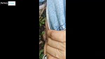 Compilation of outdoor urination