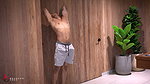 Cuckold husband fucks his wife’s friend raw – Brandon Cruz & Carla Morelli