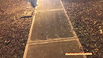 I MEET A GIRL IN THE PARK AND INVITE HER TO PLAY WITH MY COCK