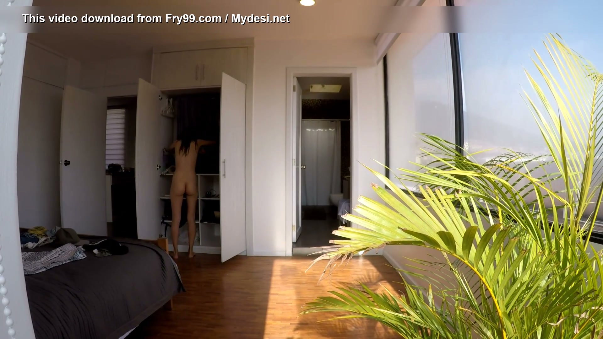 Frame 6