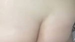 swallows cum