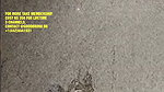Aditi Mistry Latest Live Bath