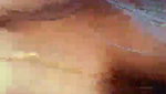 Arpa Roy _4