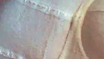 Arpa Roy _4
