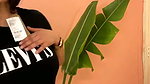 anveshi jain 19 march part 1