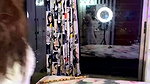 anveshi _15