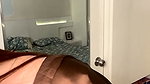 anveshi _20