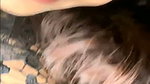 anveshi _60