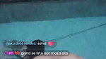 Ti live premium show honey pol