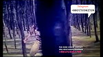 Bangla Hot 140 (2)