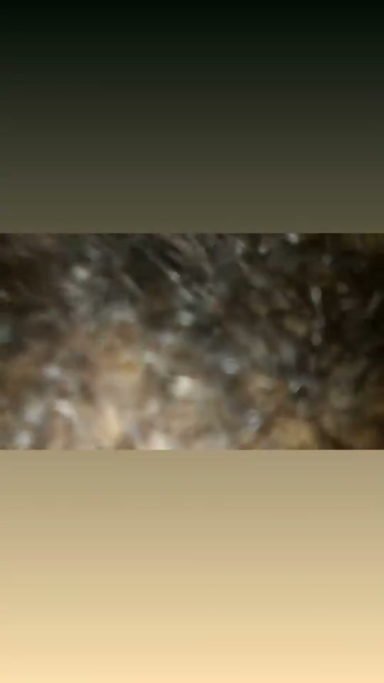 Frame 4