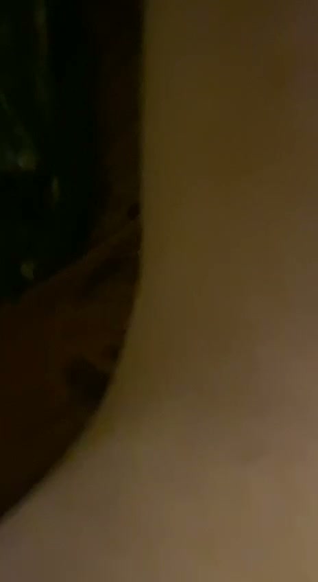 Frame 6
