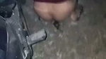 G 3 (2)