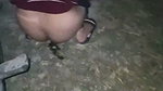 G 3 (2)