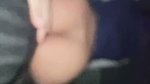 G 8 (4)