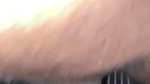 Horny Bengali Maal Giving Deep Blowjob Hard Doggy Fucking ~ UPDATES (2) 4