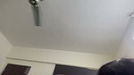Horny Indian Babe Sucking Dick Riding Hard Fucking Cum On Body (2) 12