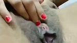 Soni aggarwal full nude_1
