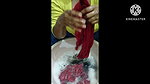 Antra vlogs_5 youtube premium video